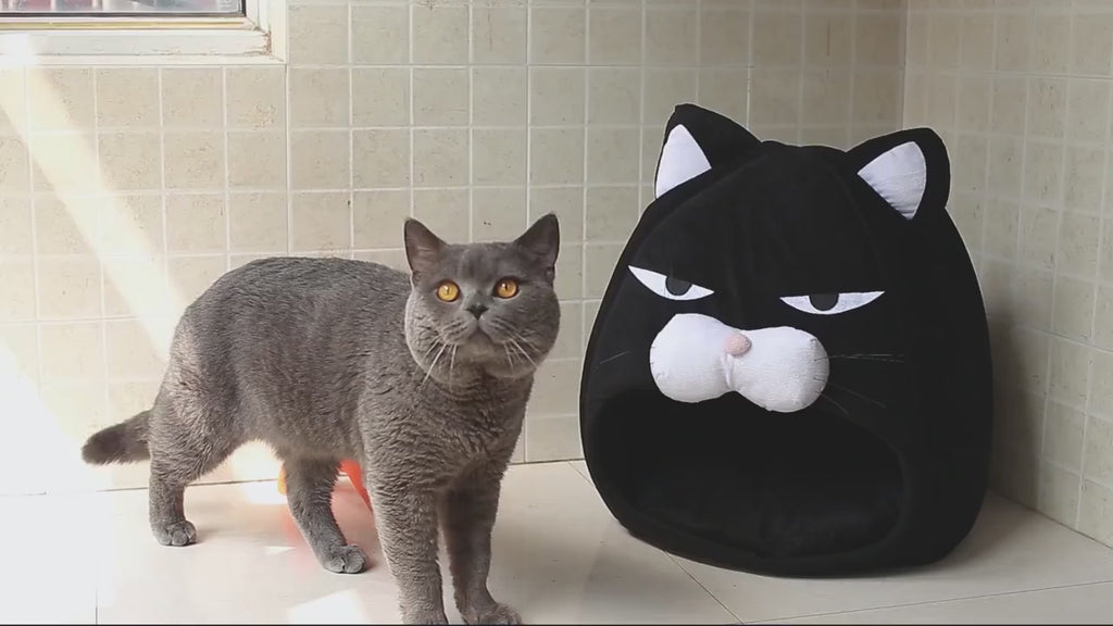 Pawzuki™ Cozy Cat House Bed